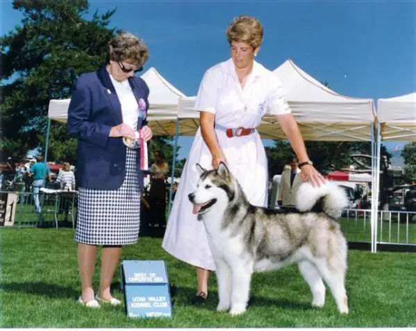 CH Wolfmtn's Sand Pebbles