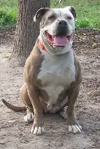 Long's Hootchie of Crossroads