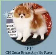 CH Great Rivers Aint No Paint