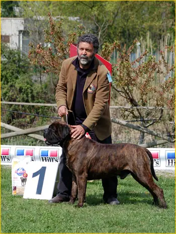 IT, EU, FCI CH Leatherneck Black Magic Indy