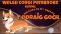 Y Ddraig Goch